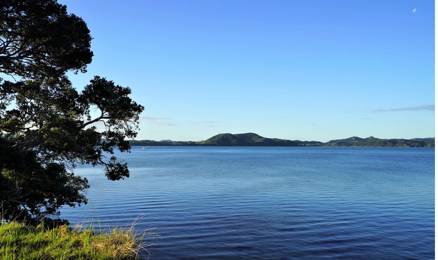  Generation Homes In tranquil surroundings - the Gardenia on Lot 243 Il 20076 0f9051f465546704217b94825bb278eb 