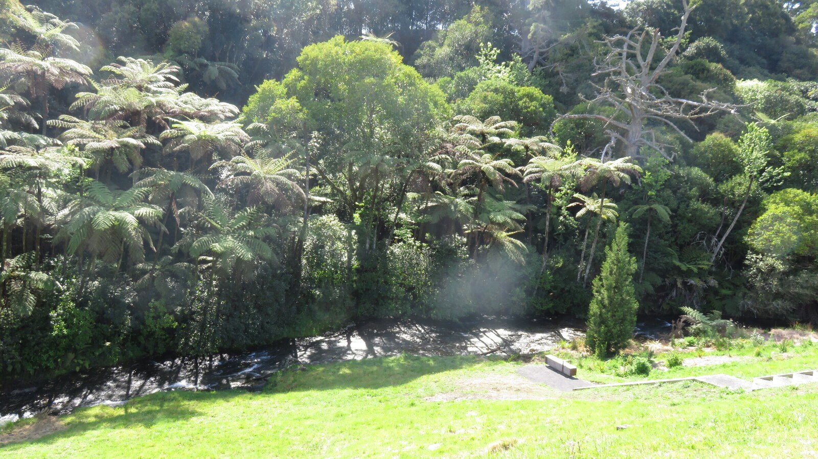  Generation Homes Three Creeks Estate, Tauranga Kaitemako Stream three creeks estate 