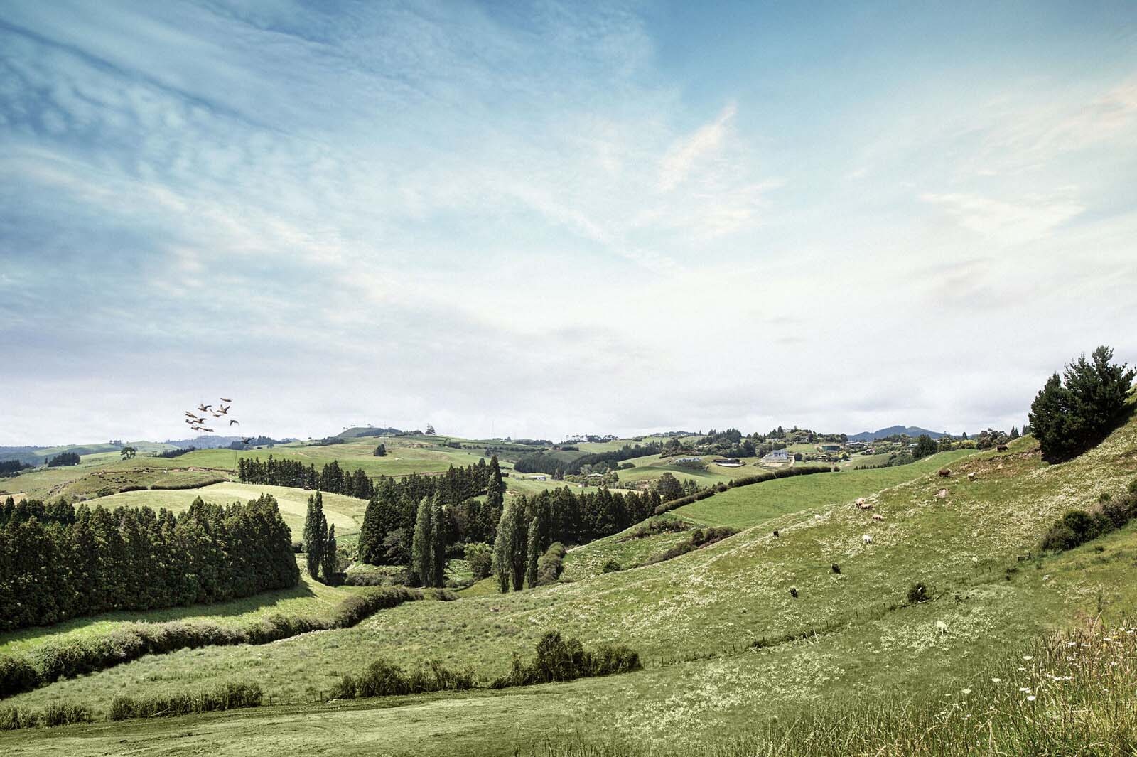  Generation Homes Three Creeks Estate, Tauranga Three Creeks Estate Surroudings 