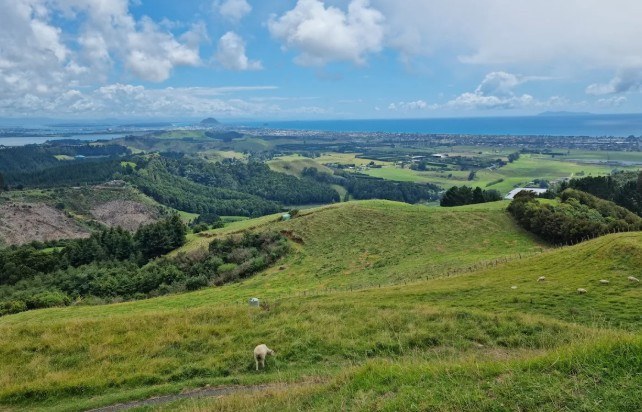  Generation Homes Golden Sands East Quarter, S4, Pāpāmoa Papamoa hills 