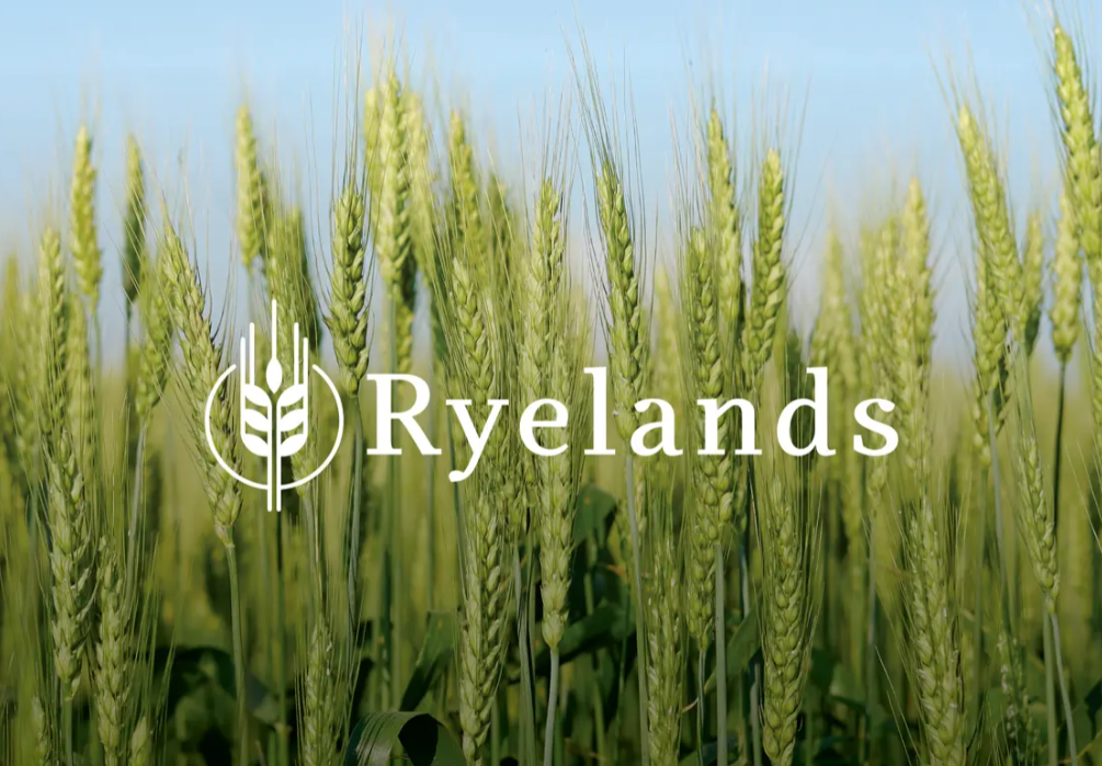  Generation Homes Ryelands, Darfield Ryelands main listing image 
