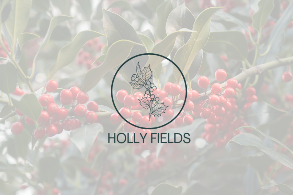  Generation Homes Holly Fields, Leeston Subdivision main listing page images 10 