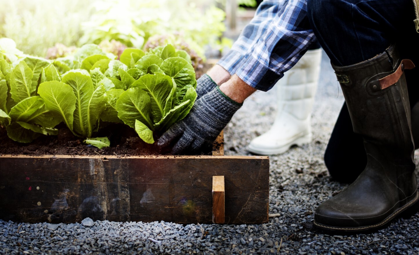  Generation Homes Central Cove, Kawerau Il 13241 Garden 