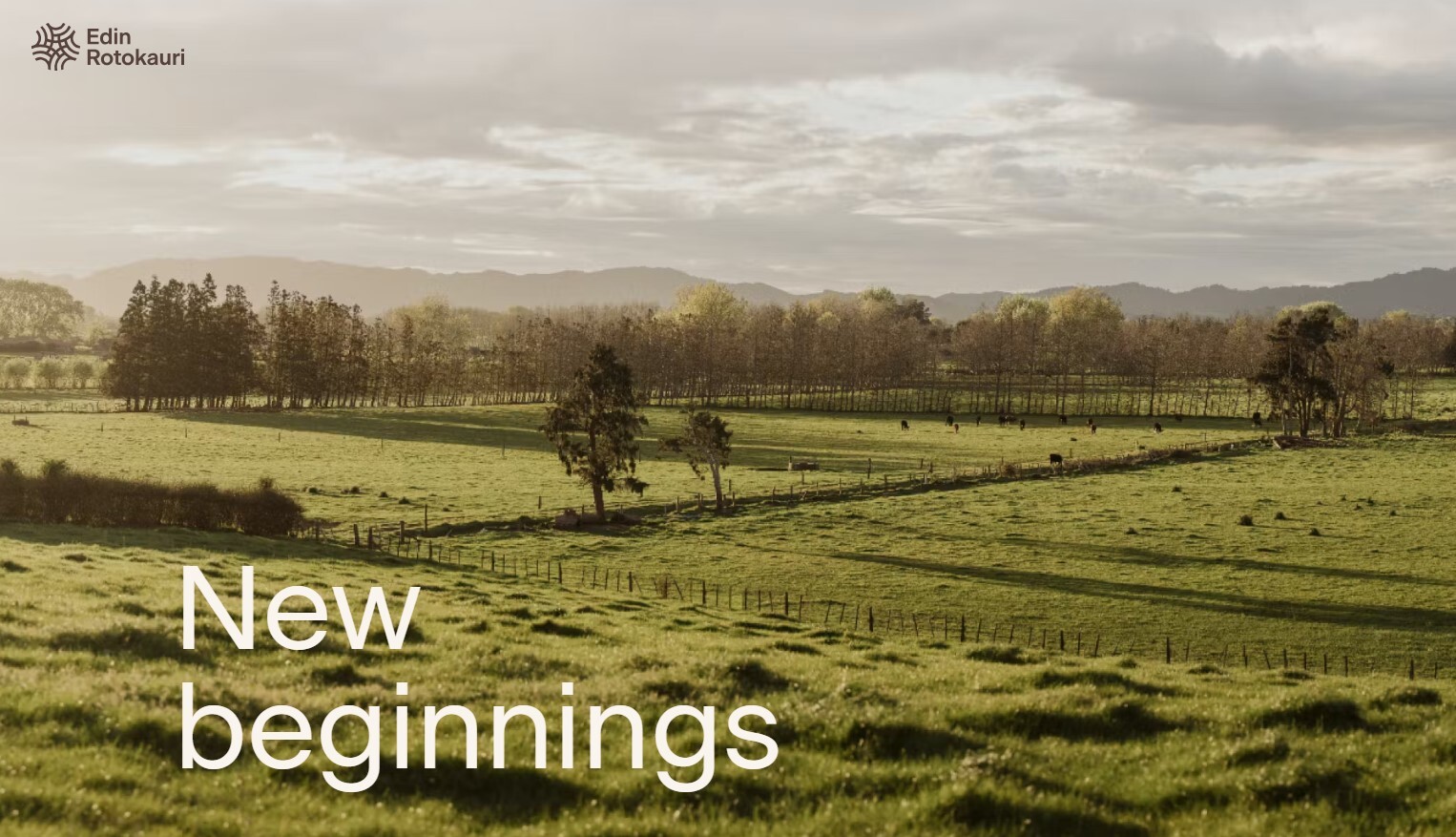  Generation Homes Edin Rotokauri, Hamilton Edin Rotokauri 