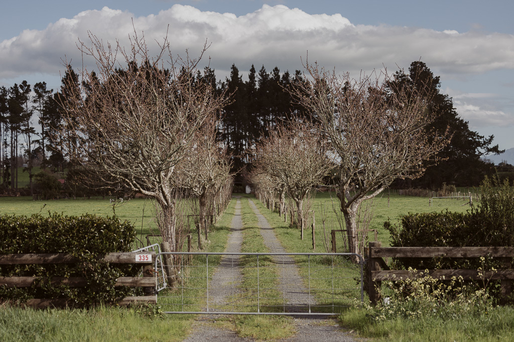  Generation Homes Edin Rotokauri, Hamilton Il 18284 Web ready 2 