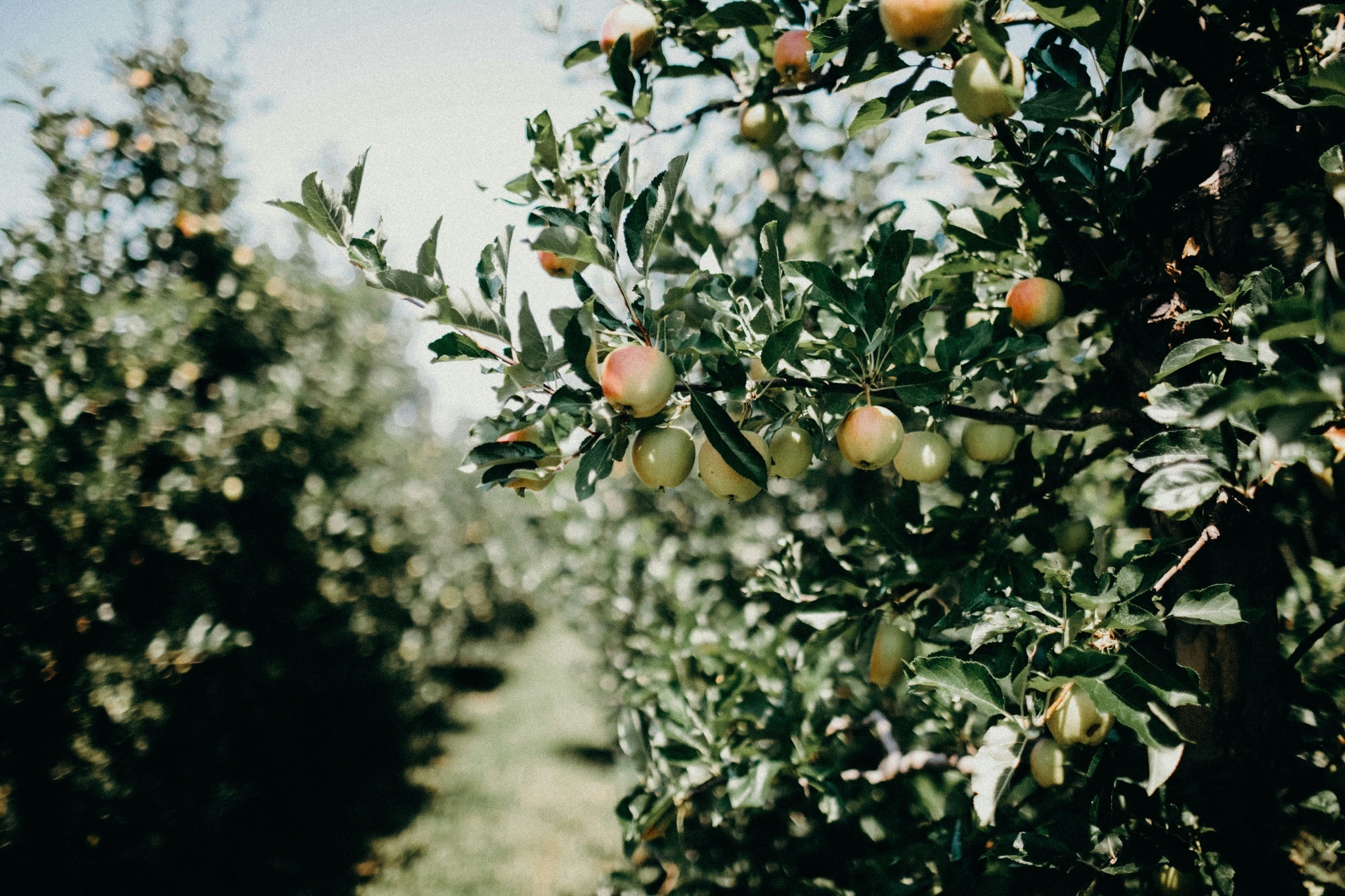  Generation Homes Rangitahi, Raglan Liana mikah Py J Cc S09 R Tg unsplash 