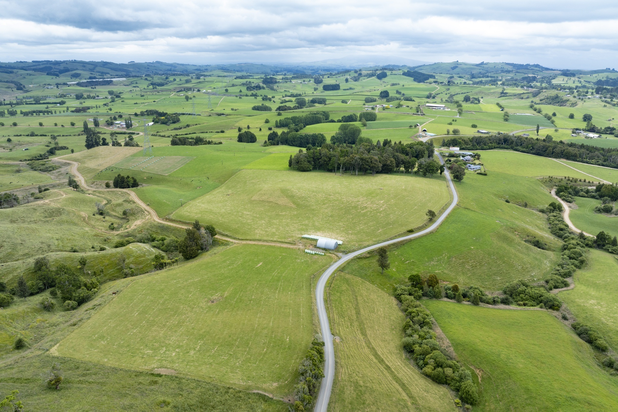  Generation Homes Mt Ruru Estate, Te Miro 2023 12 19 0245 