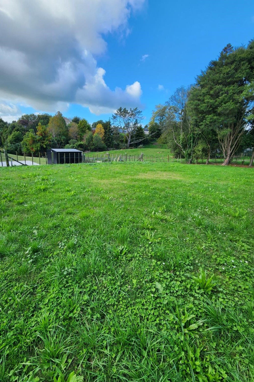  Generation Homes Acacia Avenue, Kihikihi Acacia Ave 