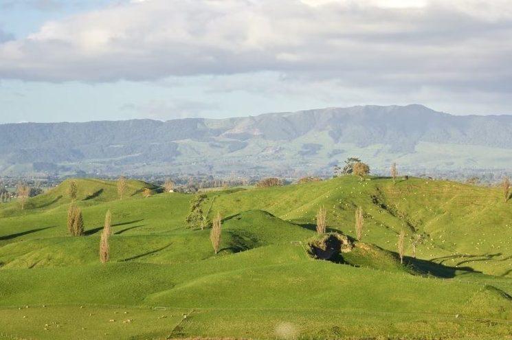  Generation Homes Pippins, Matamata Kaimais 